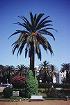 Platz Mohammed V in Casablanca (21KB)