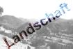 landschaft