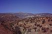 landschaft bei Argana (23KB)