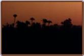 Sonnenaufgang ber Marrakech (11KB)