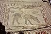 Mosaik 'Artist' in Volubilis (41KB)