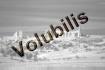 Volubilis